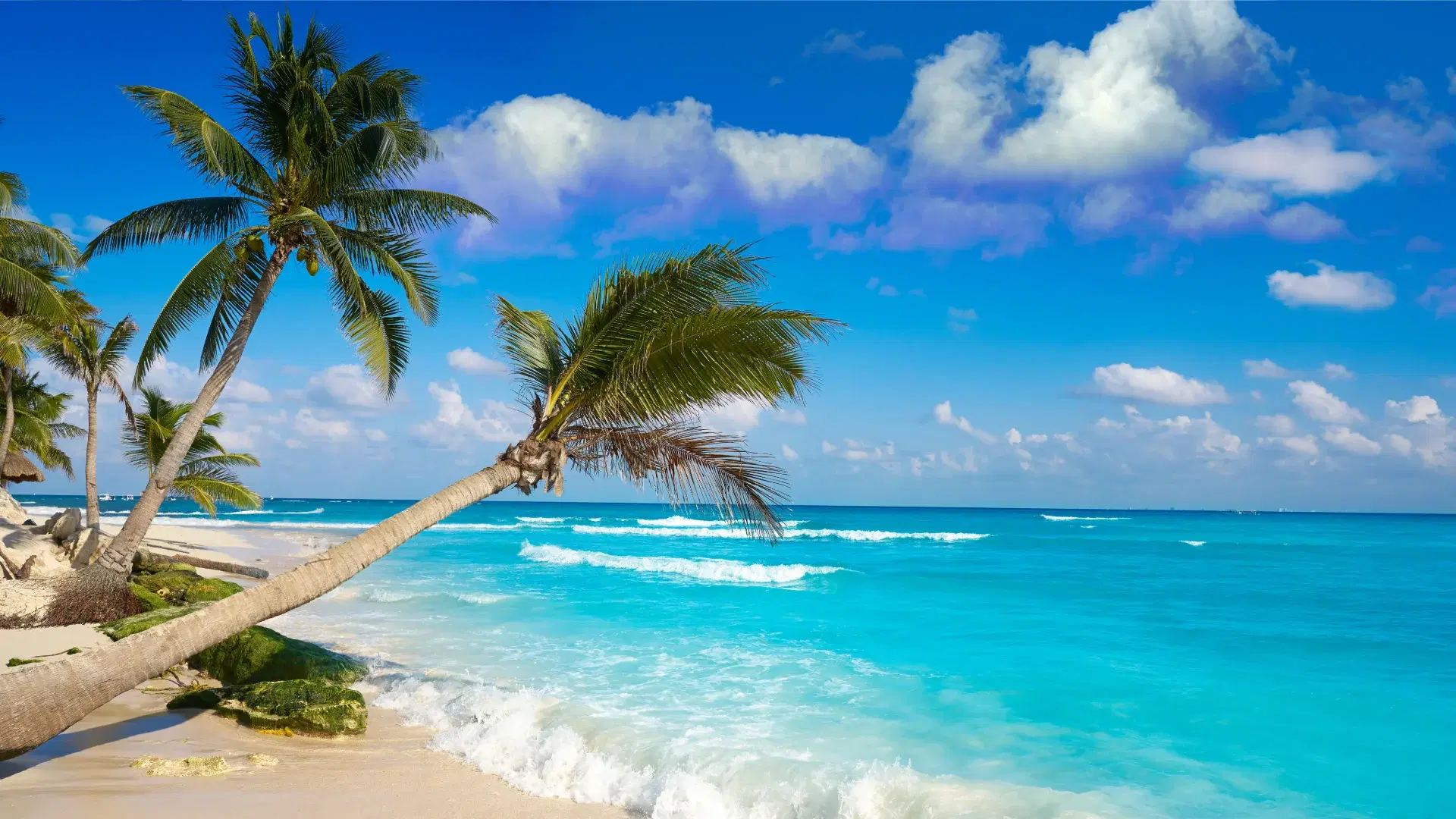 Puerto Aventuras