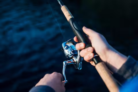 Sport Fishing